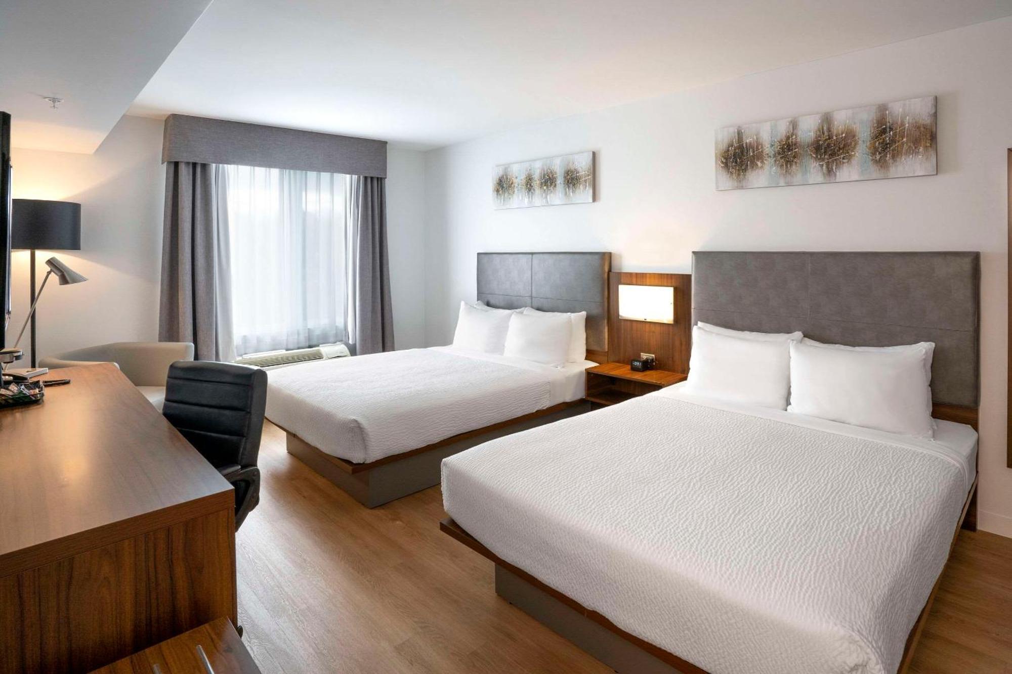 Deluxe Queen Room Two Queen Beds Non Smoking or No Pets